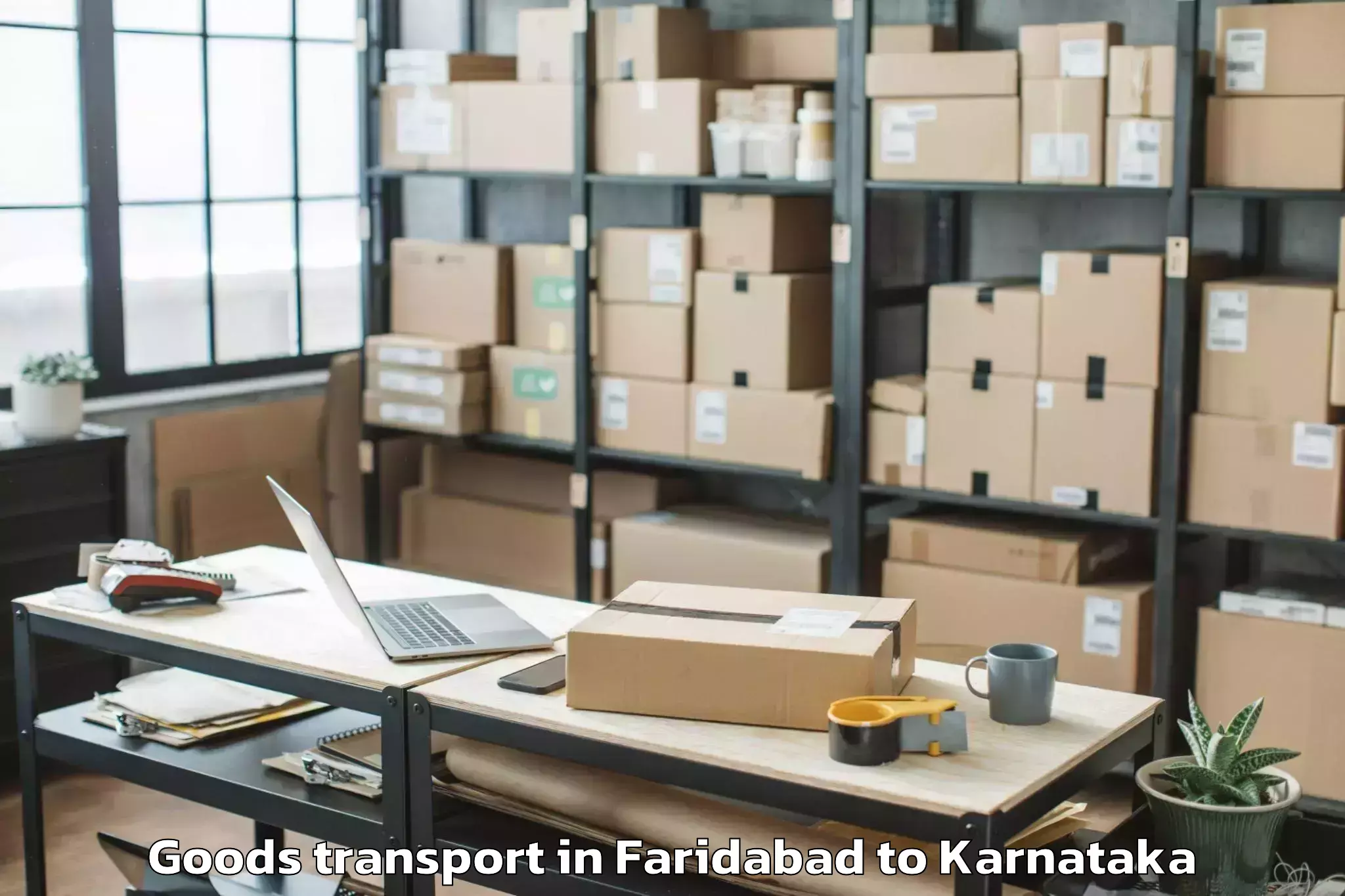 Efficient Faridabad to Molakalmuru Goods Transport